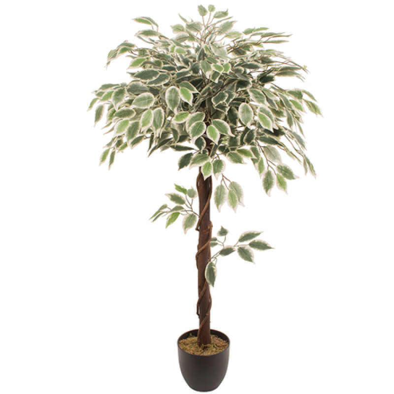 Mākslīgais augs FICUS 1.20m